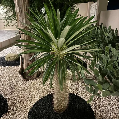 Coral Frühstückspension San Vito Lo Capo